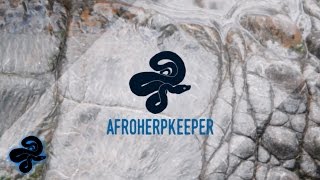 New Intro/NARBC Plans!