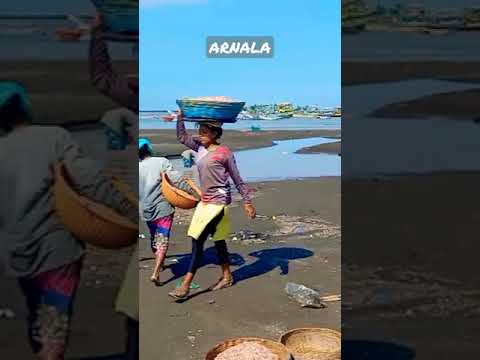 ARNALA BEACH FISHING 🦦🎣🎣 || ASHISH BHURKI VLOGS || #arnala