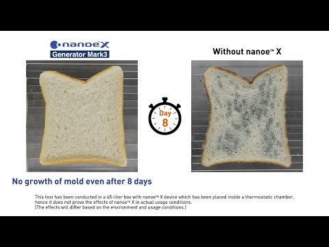 Inhibition mold by nanoe X Mark3