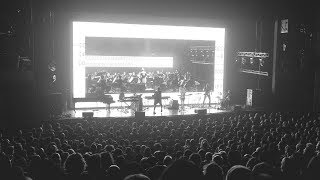 Noga Erez - JUNIOR (REWORKED)