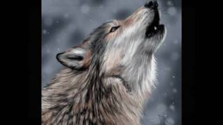 Hear the Winter Lullaby of Wolves ☾