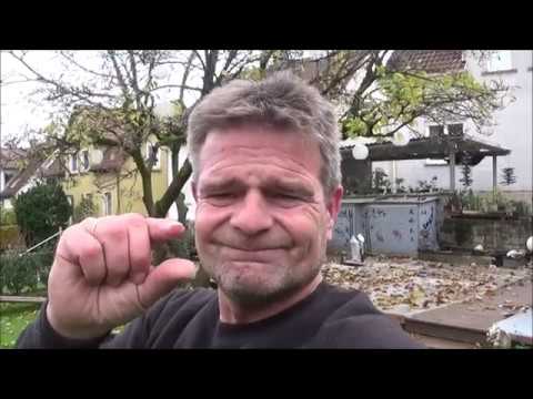 Garten 2019-3 - der Winter naht - Bonsai - Saisonfinale Teil 2