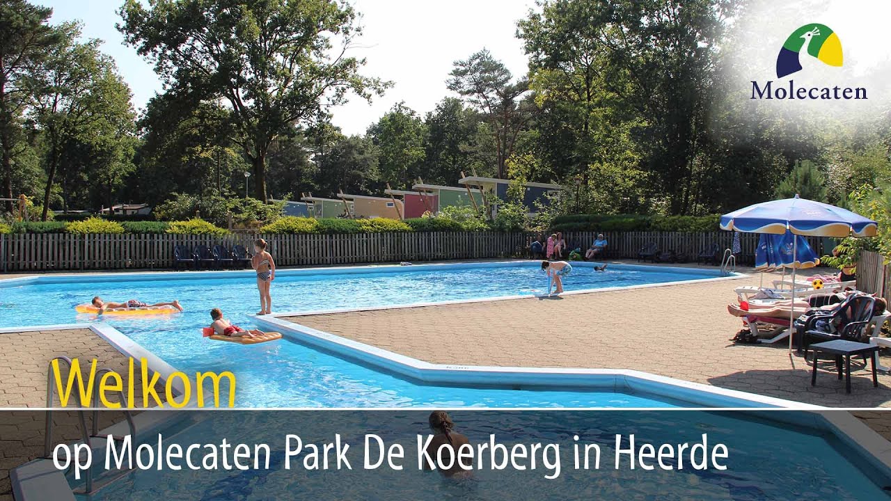 Sfeer proeven op Molecaten Park De Koerberg in Heerde