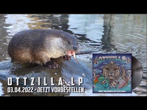 Lookey, Julezmann & Gute Gesellschaft - Als die Fische den Teich verließen