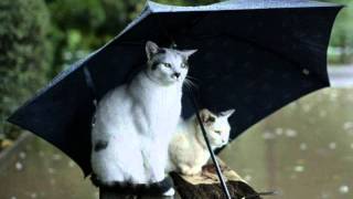 Oblivion Dust - It's All Good