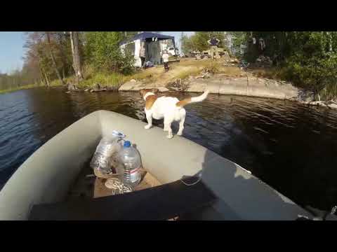 Щуки карельского отпуска 2018