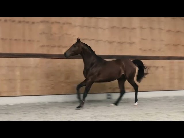Jumping