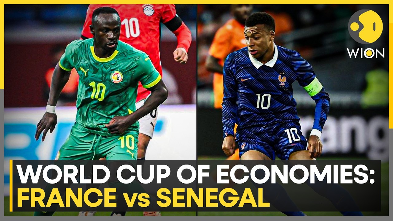 Pitch & Portfolio: France vs Senegal | Who Is The Match Day Favourite | WION World Business Watch