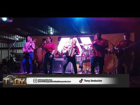 JUST AN ADVENTURE - CELSITO QUINTERO / ACCORDION BY JOSÉ OLMEDO PÉREZ (LIVE)