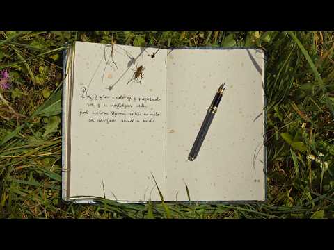 Vihor Trailer