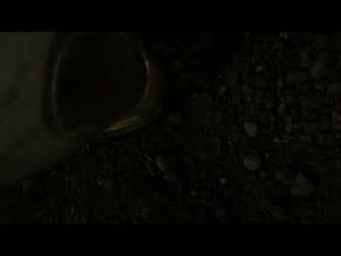 Djembe Jam 27.11.2024 Asmah - Seba - Wujas