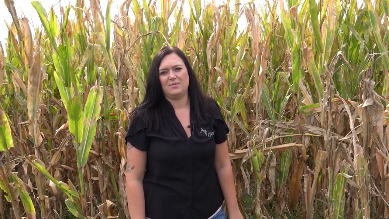 Harvest is Here! We're Here to Help it Run Smoothly