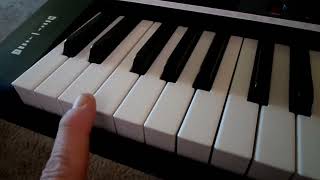Video thumbnail for RockJam RJ461  1 finger keyboard concert by John B