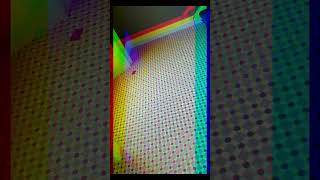 Preview of The Henley Ice tile from Topps Tiles has the look of Victorian encaustic tiles.