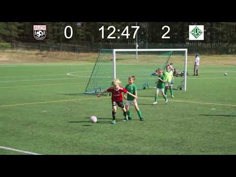 NuPS Keltainen - HPS Valkoinen 3, 21.8.22 Nummela