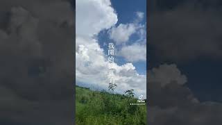【台湾】【剩下11天】帰国まであと11日#台湾 #台湾留学 #shorts