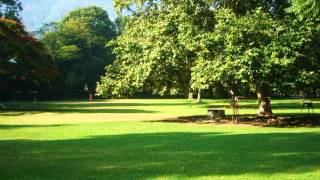 ORIZABA - Rancho El Cortijo - Rio Blanco - Le Feuilles Mortes - Duke Ellington - The Autumn Leaves