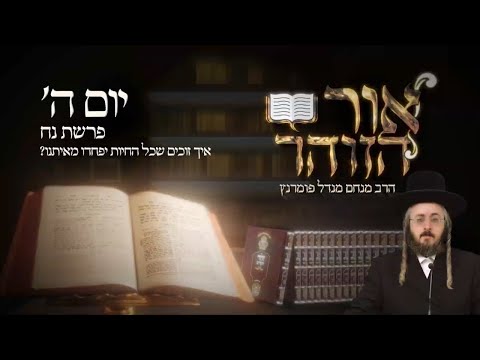 הזוהר היומי - יום ה' פרשת נח תשפ"ד