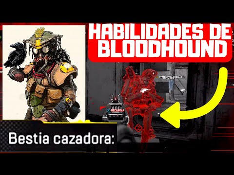 Best Legends for Solo Queue in Apex Legends