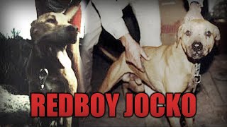 BLOODLINES - REDBOY JOCKO - A QUICK LOOK
