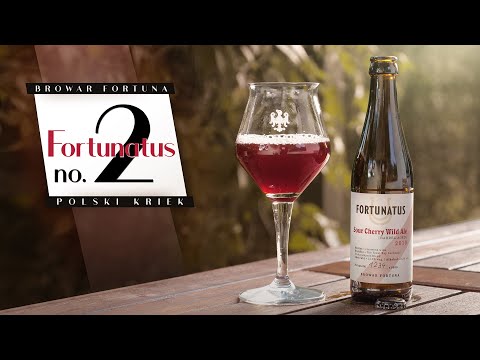Fortunatus no. 2. - czy to polski kriek?