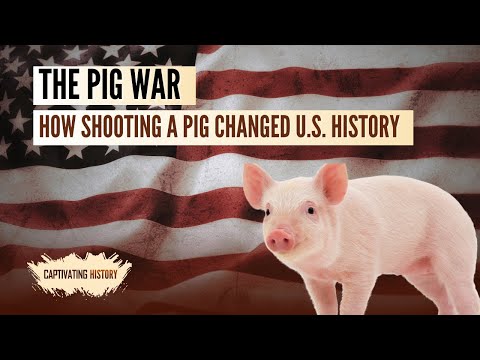 The Pig War: How Shooting a Pig Changed U.S. History