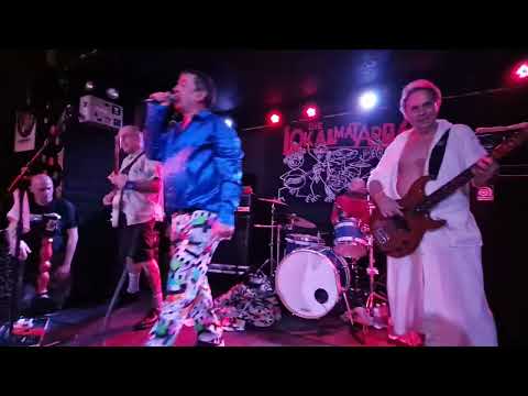 Die Lokalmatadore - In den Arsch (letzter Gig - Don't Panic 16.2.25)