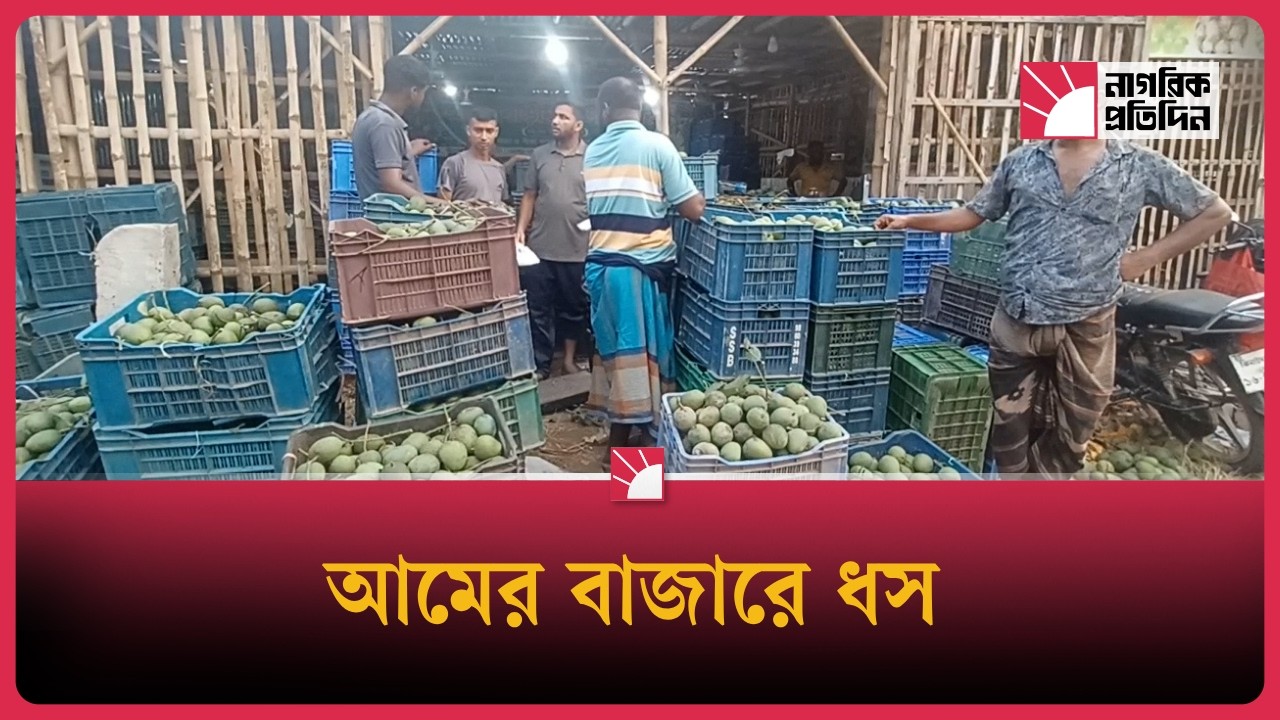 আমের দাম নেই চুয়াডাঙ্গায়
