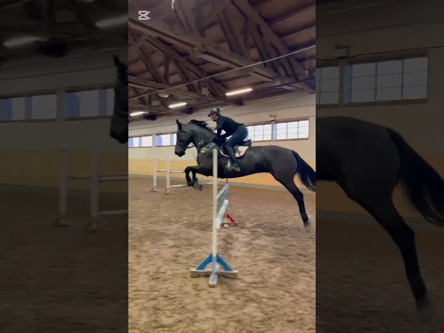 Casstar a.k.a Chloe Jump Training