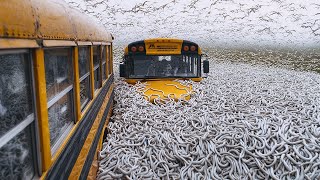 50 coisas estranhas acontecendo agora ao redor do mundo [Edição Flagrada por Câmeras]