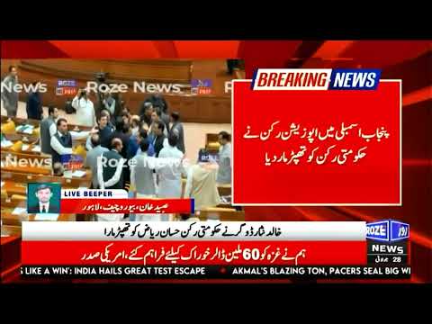 Punjab Assembly Chaos: Opposition's Khalid Nisar Slaps Govt MPA Hassan Riaz During Heated Session