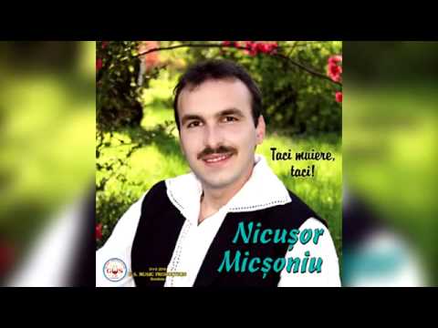 Nicusor Micsoniu - Malarisca satul meu (Audio Original).