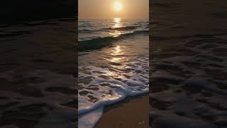 4K Ultra HD Live Wallpaper | Relaxing Cinematic Loop for Desktop & Mobile Backgrounds