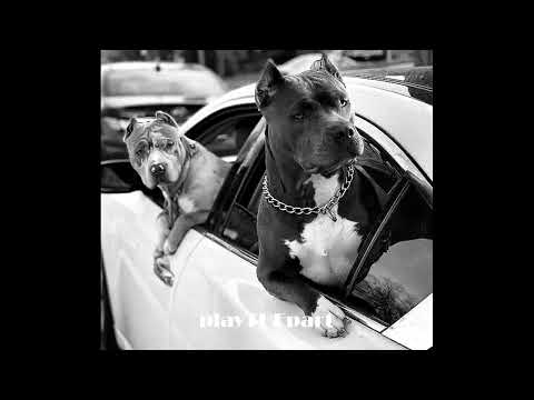 50Cent x Eminem x Snoop Dogg x Dr. Dre 2Pac x Biggie x Ice Cube x Eazy-E - Without Me (REMIX)