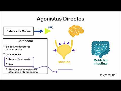 Agonistas Directos Colinergicos - Farmacologia