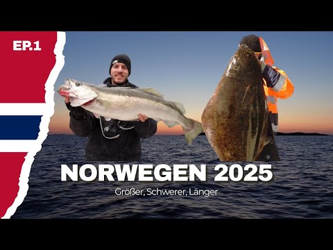 Angeln in Norwegen 2025 | Episode 1