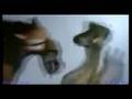 Ice Age Trailer