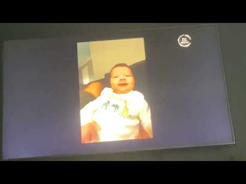 The funniest cats and dogs on the Internet