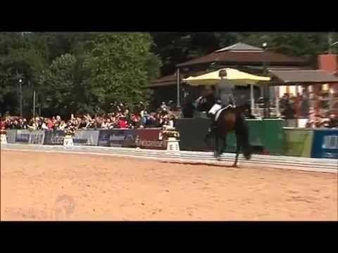 PAV Smart Pl. 5 Finale Hann.-Championat WM junge Dressurpferde