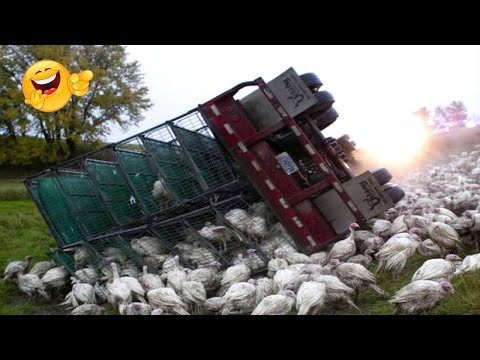 Top 20 Dangerous IDIOTS TRUCK and CAR Fails Compilation In 8 Minuts 2022