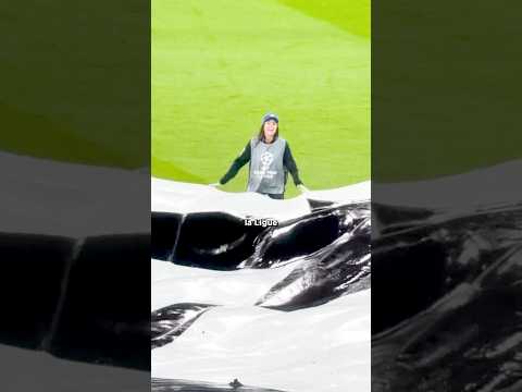 🧐 C’était la pire idée…