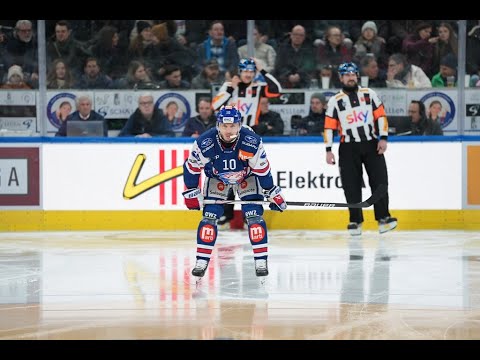 Highlights vs. Zug | 31.01.2026