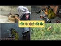 Guddi Lochab गांवो के खेत खलिहान की सैर Desi Village Lifes