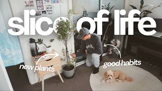 🌼 slice of life vlog: productive days for end of year — deep cleaning, study, self-care + hobbies!