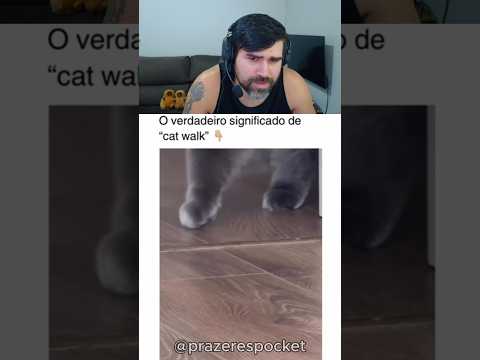 Já viu um gatinho farmando aura ? 💀 #react