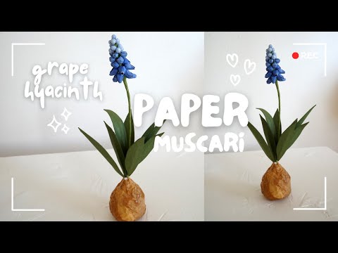 DIY Paper Muscari (Grape Hyacinth) Tutorial | Easy Step-by-Step Craft with Free Template