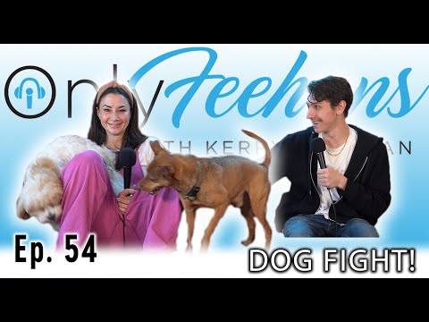 OnlyFeehans Ep. 54 - Dog Fight!