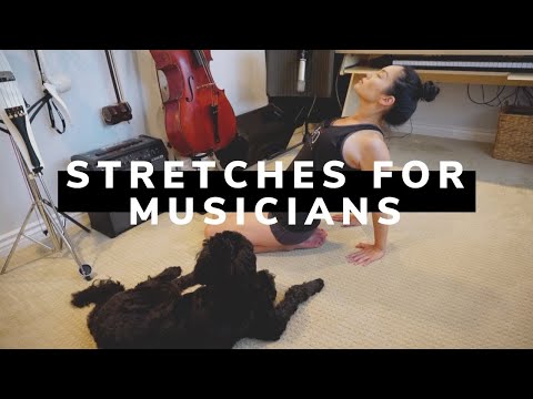 Tina Guo - Stretches for Musicians