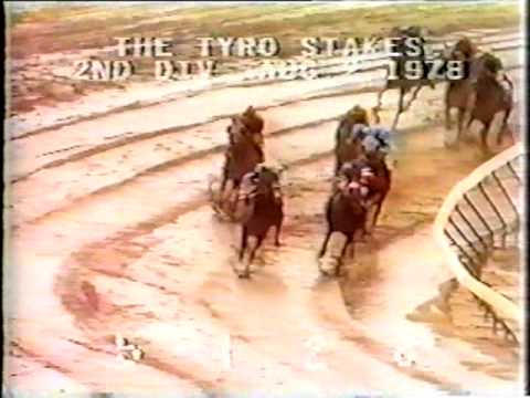 1978 Tyro Stakes (2nd Division)