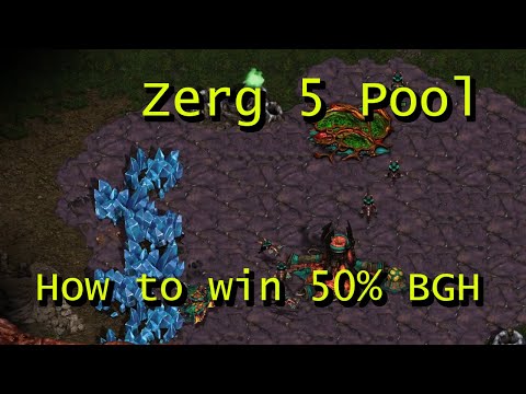 Starcraft Brood War Beginner Builds - Zerg 5 Pool - How to win 50% of Your Games Without Even Trying